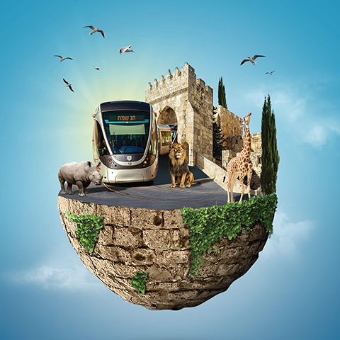 אביגיל מתוק וענבר סרי 2017