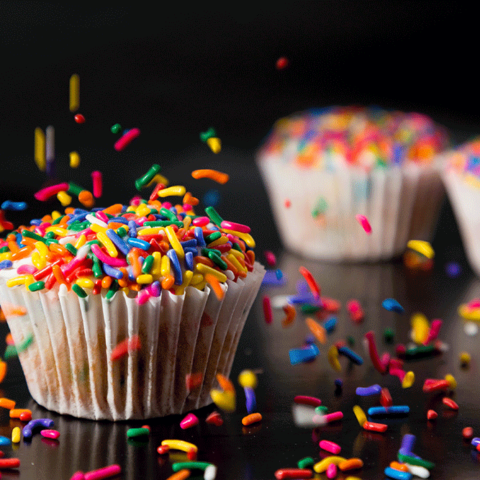 ברכה ביטן 2016