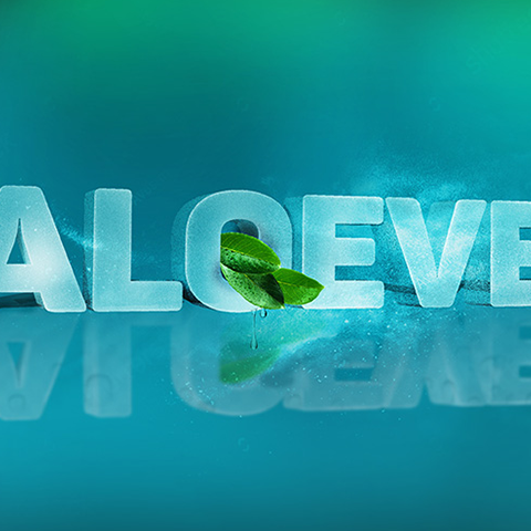 ציפי וידבסקי 2018