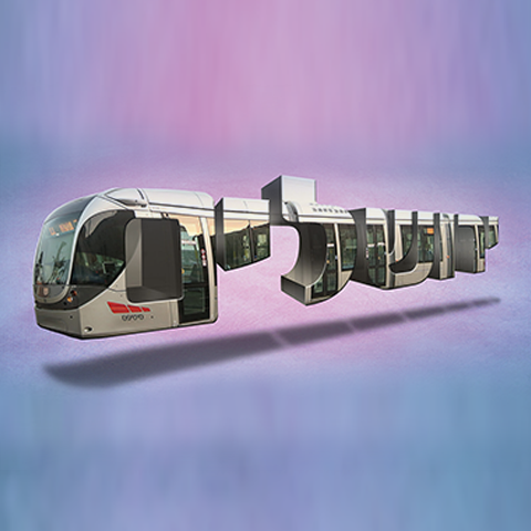 אילה זרגרי 2017