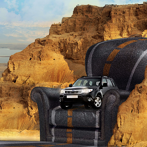 בתיה רוזנפלד 2014