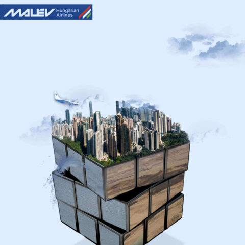 חני ביטאן 2020