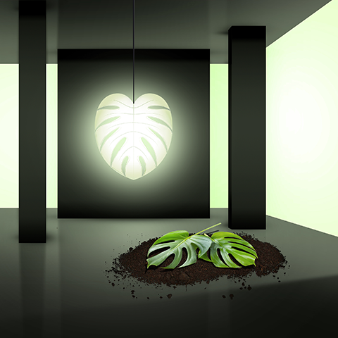 חיה חיון 2015