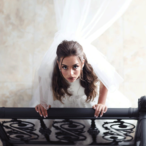 חני ארמוני 2018