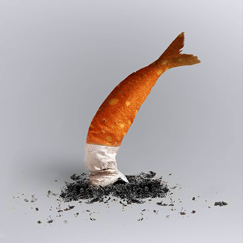 מיכל צוריאל 2020