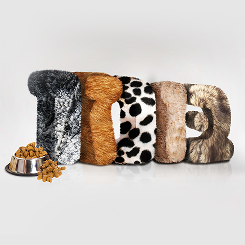 מיכל הירש 2015