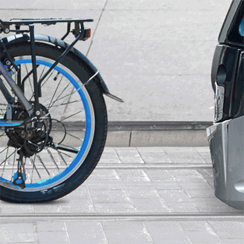 מירי דז'לובסקי 2018