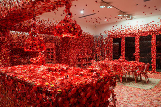 אובססיה פרחונית