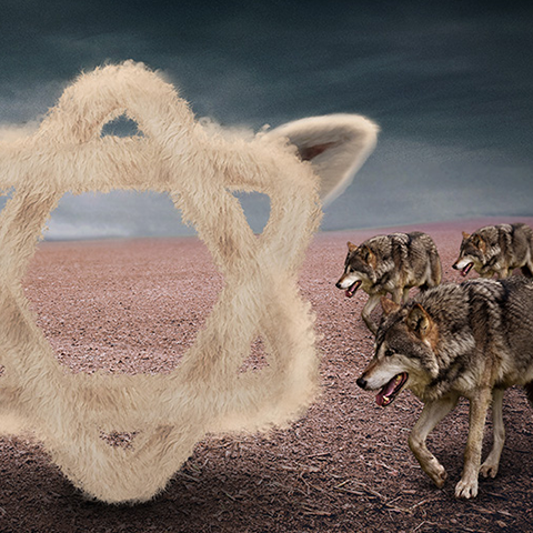 רחלי חניה 2018