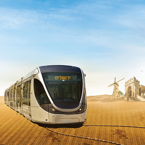 שרי בר חיים, סלי ברדה 2017