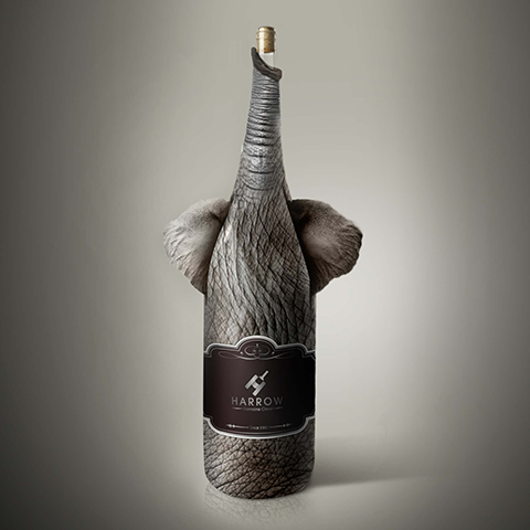 שיינדי ורטהיימר 2016