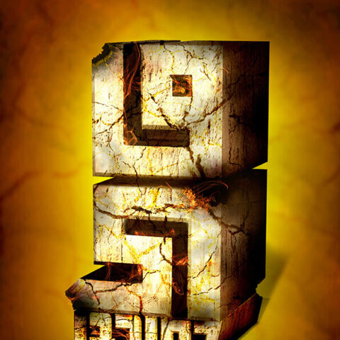 שיראל סלמה 2020