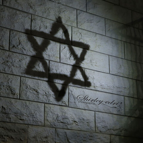 שירלי אדרי 2018