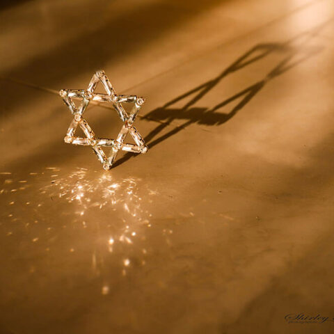 שירלי אדרי 2018