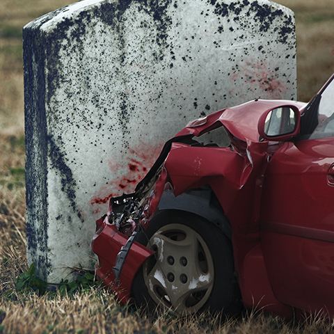 שושי בוק 2011