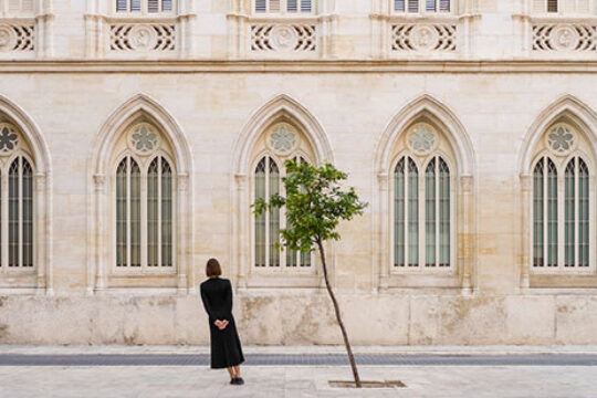 # 15 עיצוב, הומור והקשר ביניהם חלק 2