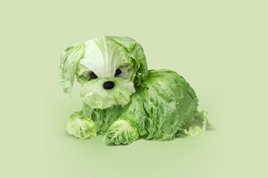 אתגר חיוך ביתי