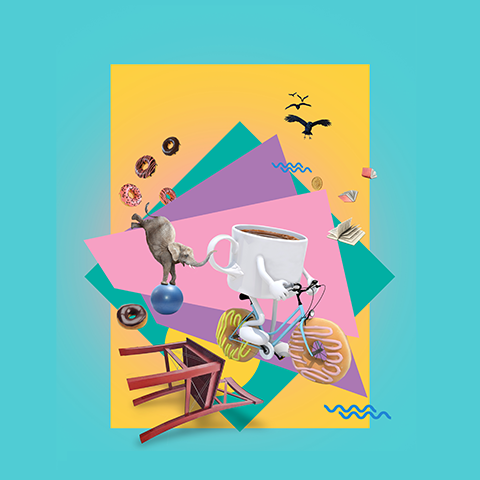 טובה ליטמן 2018