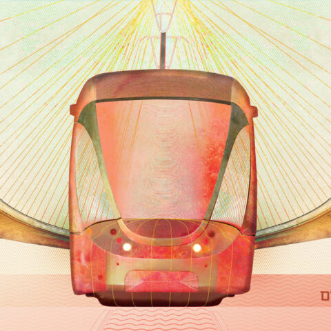 טויבי אוברלנדר, אסתי רכניצר 2017