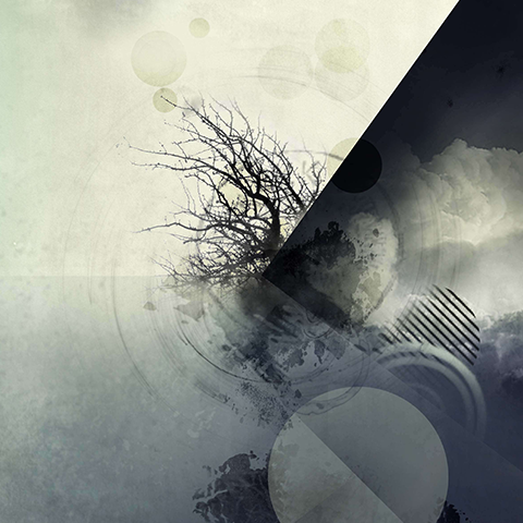 ציפי לנדמן 2018