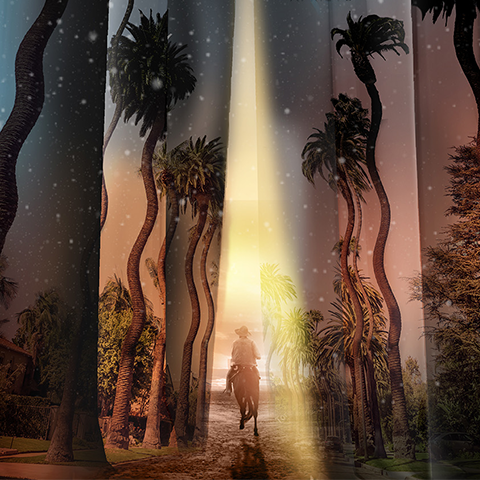 יהודית צאל 2018